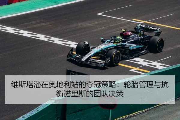 wei-si-ta-pan-zai-ao-di-li-zhan-de-duo-guan-ce-lve-lun-tai-guan-li-yu-kang-heng-nuo-li-si-de-tuan-dui-jue-ce-3-358.jpg