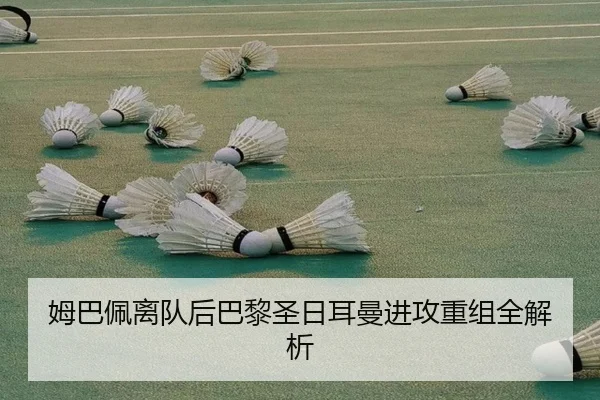 mu-ba-pei-li-dui-hou-ba-li-sheng-ri-er-man-jin-gong-chong-zu-quan-jie-xi-2-484.jpg